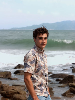Person standing on a rocky beach with ocean and mountains in the background