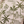 Anywhere Polo - Tropic Etch
