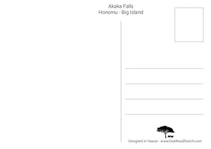 Hawaii's Akaka Falls Vintage 4 x 6 Postcard