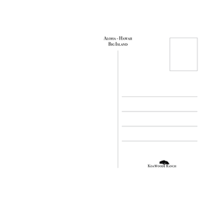 Aloha Honu Hawaii 4 x 6 Postcard