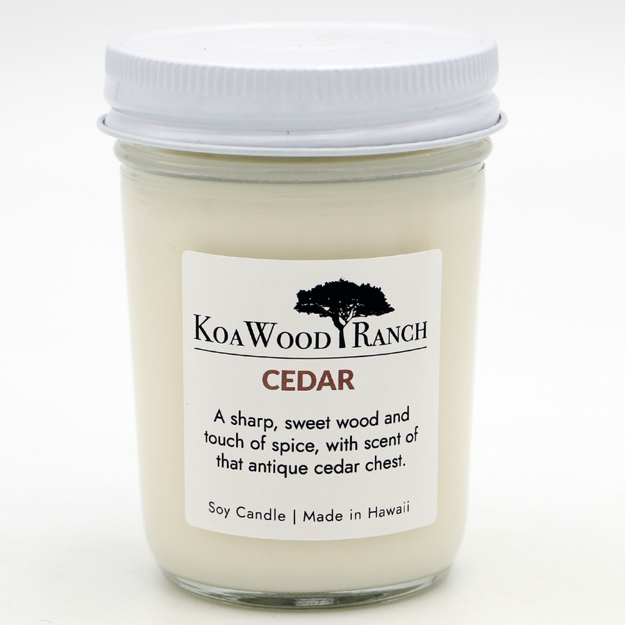 Cedar Soy Candle