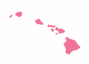 Hawaii Islands Women's Tank Top - White/Pink