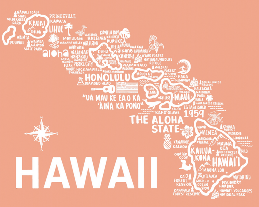 Hawaii Map Wall Prints