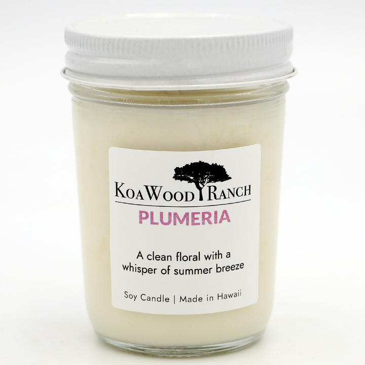 Plumeria soy candle