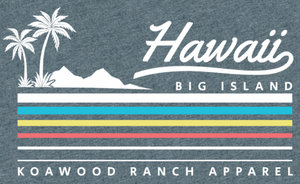 Hawaii Big Island Rainbow Short Sleeve Tee - Heather Slate